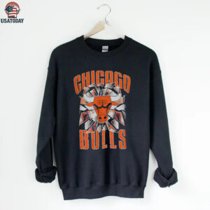 Pro Standard Bulls Shattered Backboard T Shirt