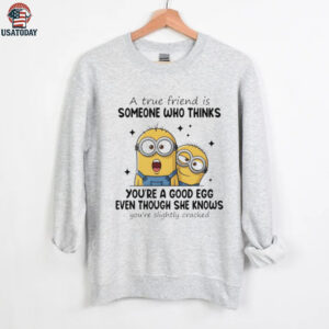 Funny minion a true friend is someone who thinks you’re a good egg even though she knows you’re slightly cracked shirt