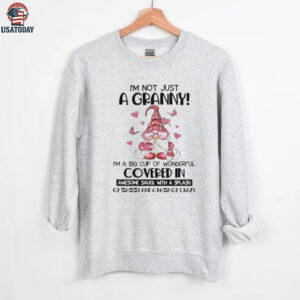 Gnome I’m not just a granny I’m a big cup of wonderful covered in awesome sauce with a splash of sassy and a dash of crazy shirt