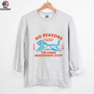 No Reasons Tiger  Random Dudes Stuff T Shirt
